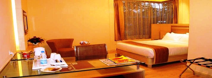 61/Sarovar Portico Naraina - New Delhi 08.jpg